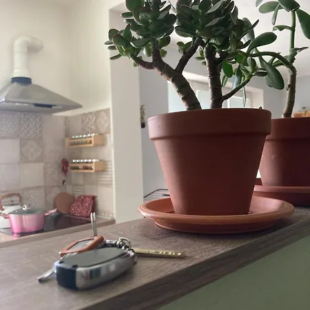Repose Residence Liptovský Mikuláš Esterno foto